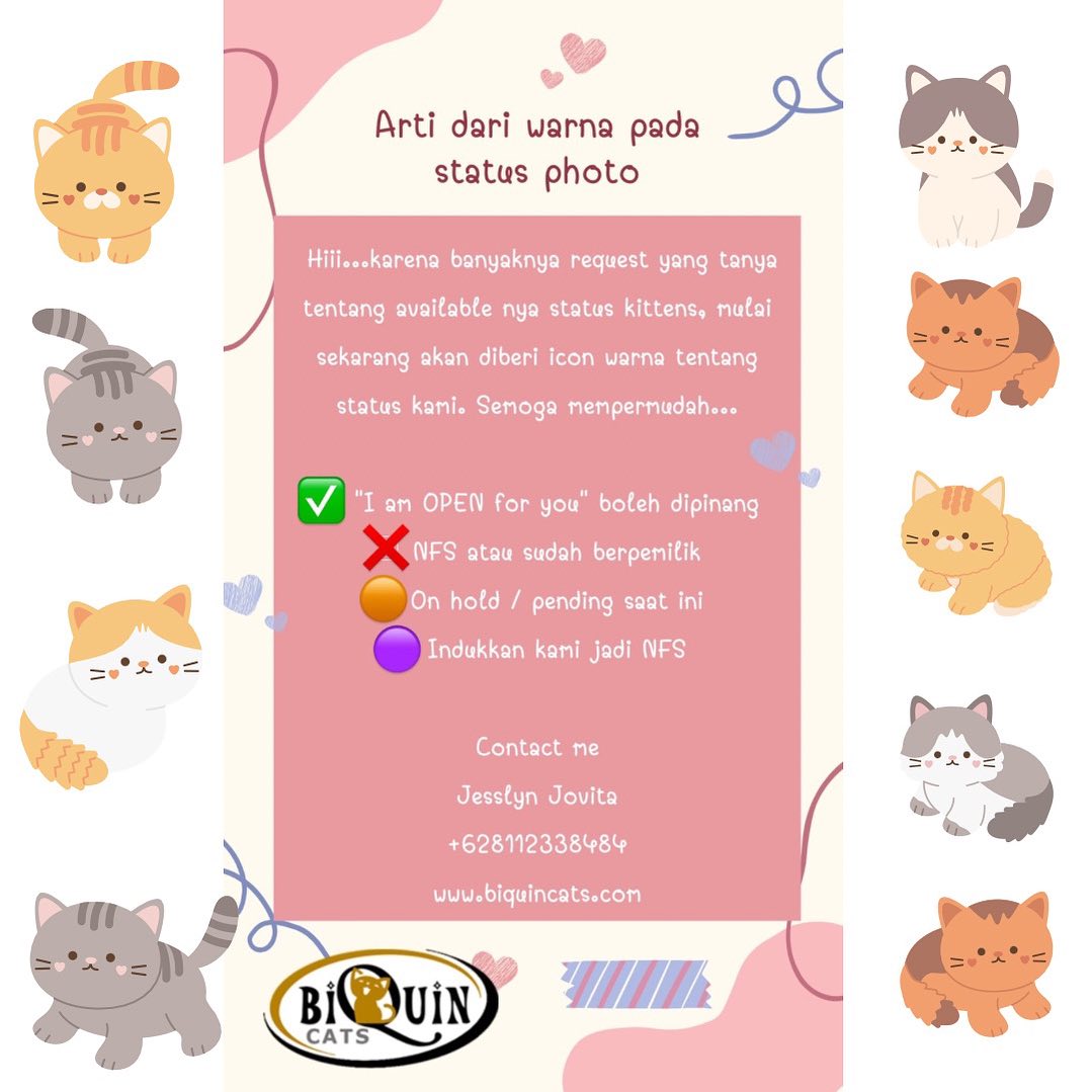 Hi hiii....πΌ Mengenai warna pada keterangan pada deskripsi kitten kami adalah sebagai berikut ππ»untuk mempermudah ya π . #biquincat #kucingku #nfs #notforsale #kucingbandung #sayangkucing #catlife