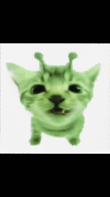 #Funnycat Animation Reel by @purrrrcattos - 👽🛸
♥︎
♥︎
♥︎
♥︎
♥︎
credit: @purrrrcattos @talkingpets.ai
dm for credit/removal 📸
tags ☻︎
❣︎ #cat #cats #catsofinstagram #catstagram #kitty