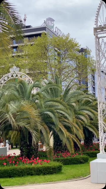 #сити парк сочи Reel by @sochi_hot_hotel - Самый центр Сочи сегодня 😍
📍 Сити Парк Отель 4*
✅ на двоих за 3 дня / 2 ночи без питания на ближайшие дни :
с 18.04 по 20.04- 14.200₽
с 19.04 по 21