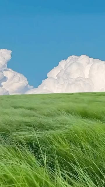 #Mongolia Landscape Reel by @awesomedreamplaces - What is the meaning of the word ?
📍Hulunbuir, Mongolia
📸 @jmjgrows
#nature #place #natgeo #discover #explore #landscape #instagram #colorful #cut