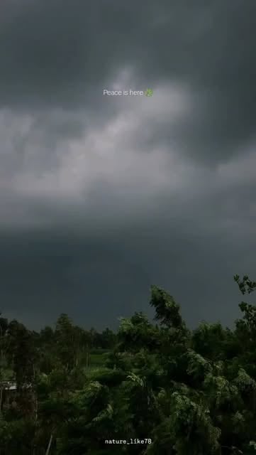 #Nature,naturephotography,lucky78 Reel by @nature_like78 - Peace full vibes 🤌🍃
.
.
#feelit #sukoon #feeling #song #beautiful #naturephotography #naturelovers #nature #view #peaceful #vibes #peace #places #m