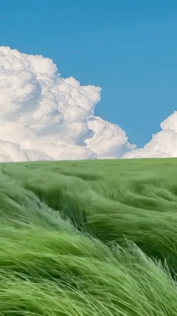 #Mongolia Landscape Reel by @yeomi.travel (verified account) - 보기만 해도 걱정 사라지는 영상.avi 지브리 영화 한 장면 아니냐구ㅠㅠ
📍Hulunbuir, Mongolia
📸 @jmjgrows
#여행에미치다 #여미_몽골 #몽골여행