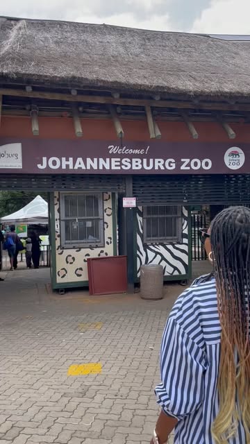 #Johannesburg Zoo Entrance Fee On Weekends Reel by @iloveboni - ๐Johannesburg Zoo is turning 120 this year. To commemorate this milestone: the entrance fee is R20 until the 31st of March. There are lots of animals