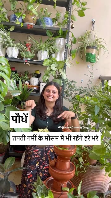 #Summer Plants Reel by @mothernaturemellows - 🪴6 ~ PERMANENT EVERGREEN PLANTS FOR HOT SUMMER SEASON ✨☀️
🌿Pittosporum || Japanese Cheese wood
🌿Ficus microcarpa || glossy leaf fig
🌿 Weeping fig