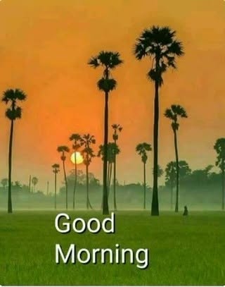 #Good Morning Reels Tamil Songs Reel by @annadurai_geetha - #goog morning#newreel#morningsong