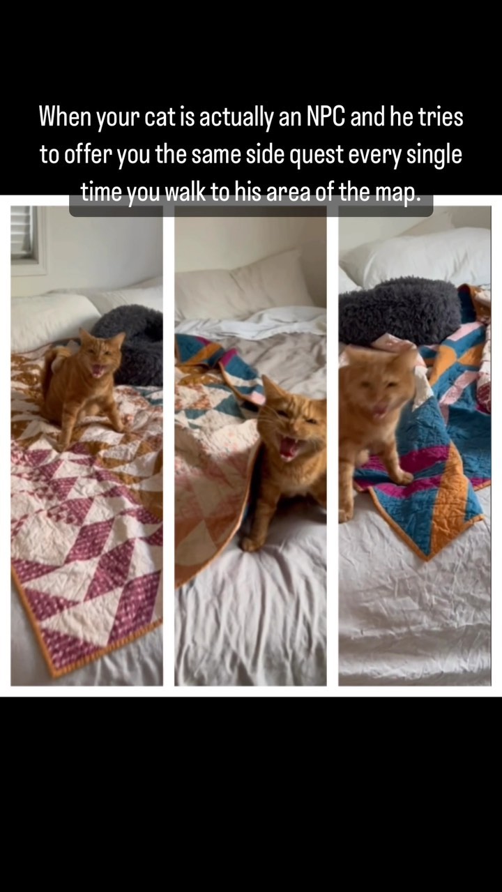 Khajit has wares if you have coin. Phin was born with a condition called cerebellar hypoplasia! This means his cerebellum never fully developed, so heβs missing a lot of neurons important for proper