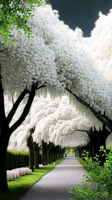 #Naturephotography Trends 2026 Reel by @youlife.ok - Wait for it βΊοΈ follow me π
#nature #photography #naturephotography #love #photooftheday #travel #instagood #beautiful #art #picoftheday #photo #inst