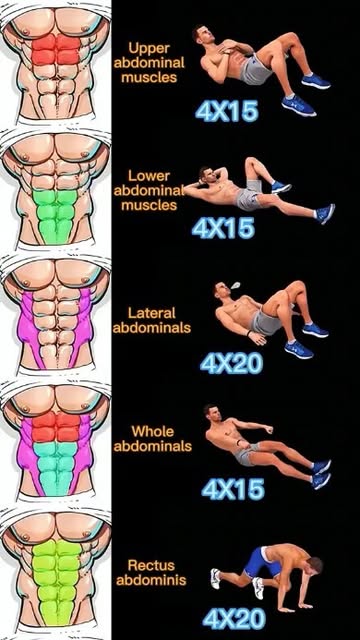 #Abs Exercises Reel by @fitness.knowledges - All around abs training for a perfect waistline ‼️
And you can do this from the comfort of your own home 🏡
❤️ LIKE for support and FOLLOW @fitness.