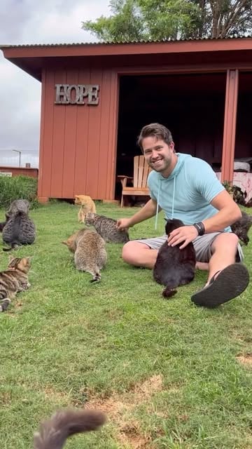 #Cat Sanctuary Reel by @nathanthecatlady (verified account) - Yesterday was amazing. Got to go to @lanaicatsanctuary with a great group of people.  Love what this organization is doing to help the cats of Hawaii.
