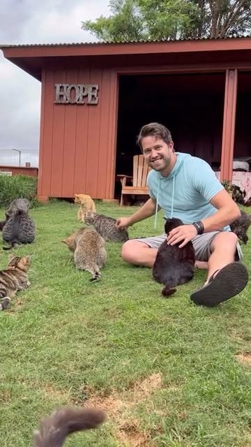 #Cat Sanctuary Reel by @nathanthecatlady (verified account) - Yesterday was amazing. Got to go to @lanaicatsanctuary with a great group of people. Love what this organization is doing to help the cats of Hawaii.