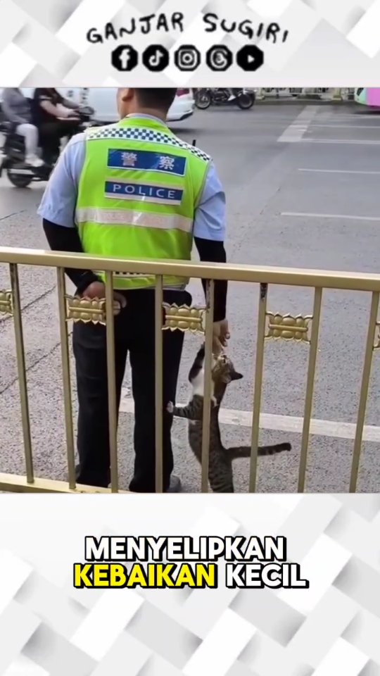 Sebuah momen kecil, tapi penuh arti. Karena kebaikan, sekecil apa pun, selalu punya tempat di hati yang peduli. . . . Terimakasih orang-orang baik π±π . π± "Kota itu seperti kucing, akan menampakkan