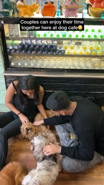 #Oh My Dog Cafe Reel by @thestoriesofindia - INDIA's FIRST DOG CAFE❤️😱!
PLAY WITH SO MANY CUTE DOGS AT JUST RS 499/-💕
They have a Pet Shop where you can purchase Dog Accessories❤️!
Dog Clini