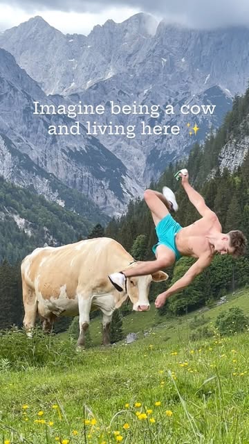 #Mountainlife Reel by @simi_brunner (verified account) - Mountain life ✨🏔️
Eben eine Kuh auf einen der Almen von @bergbauernmilch getroffen ❤️