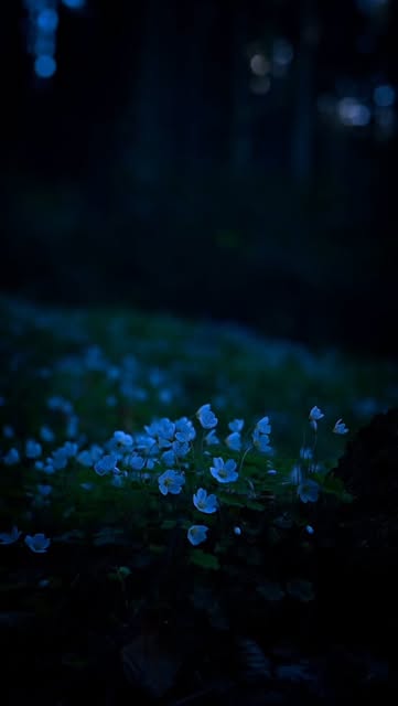 #Naturephotography Flowers Reel by @anja_janke_ - π»ππ πππππ ππππππ ππ πππππππ π€
#NaturLiebe #NaturWunder #Natur #Blumenzauber #naturelovers #beautiful #naturevibes #naturephot