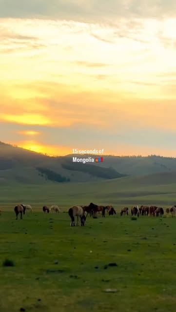 #Mongolia Landscape Reel by @tem_overland - You will never regret coming to Mongolia 🇲🇳