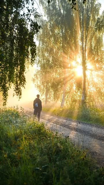 #Naturephotography Trends 2026 Reel by @kevinbruseby - Hi! I'm Kevin, a 22 y/o photographer from Sweden who loves to photograph fog. Through my photos I hope to inspire others to spend more time outdoors a