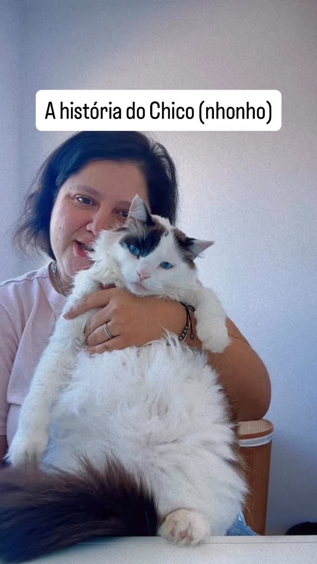 🐈Hoje eu conto a história do Chico, mais conhecido como nhonho 🫶🏼 👉🏼Siga a gente para acompanhar a rotina do Nelson e o do Nhonho #chico #nhonho #gatos #catlover #gatosengraçados #gatosdobrasil