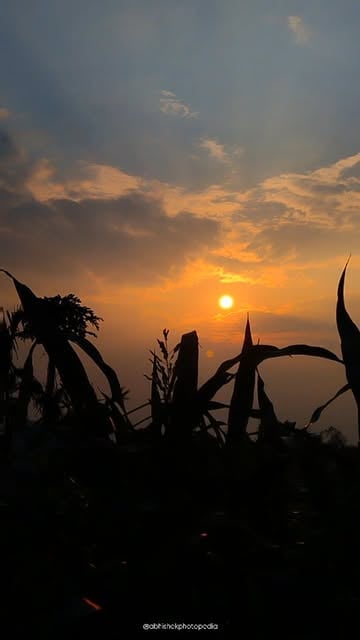 #Naturephotography Trends 2026 Reel by @abhishekphotopedia - Nature's Blush β¨πππβ€οΈ | Nature Videography π· | @abhishekphotopedia
.
.
.
.
.
.
.
.
.
.
.
.
.
.
.
.
Shot On Poco X4 Pro 5g β€οΈ
.
.
.
.
.
.
.
.
.
.