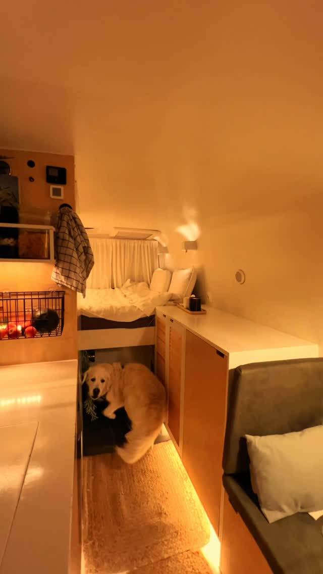 Меня до сих пор поражает, что в каком-то неприметном грузовичке может скрываться целый дом ❤️❤️❤️