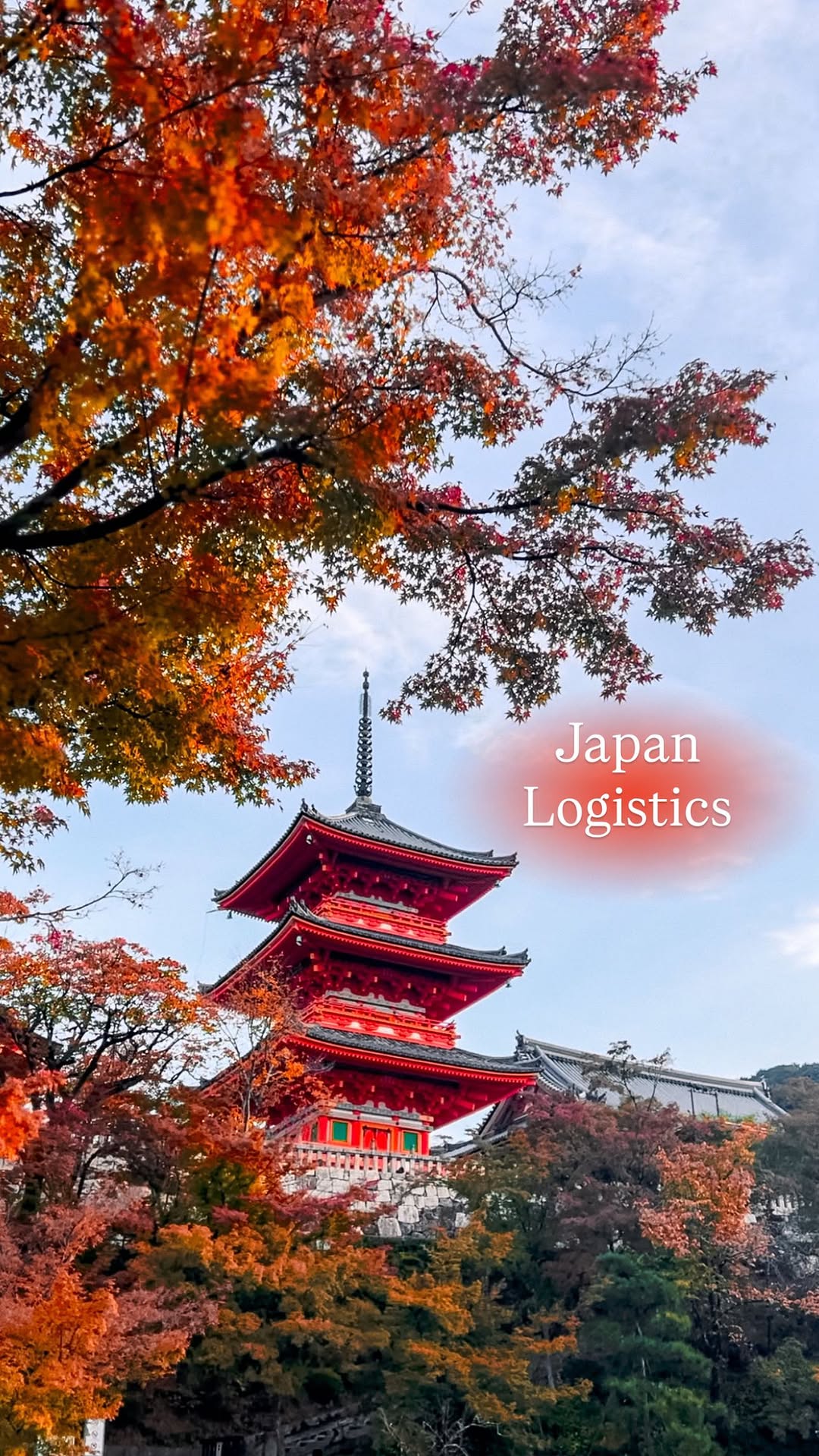 Japan Logistics ✈️🇯🇵 Доставим любые товары из Японии — одежду, косметику, технику, сладости и многое другое. Быстро, удобно и надёжно! 🇯🇵📦 #логистика#japanlogistics#доставкаизяпонии#доставка#jap