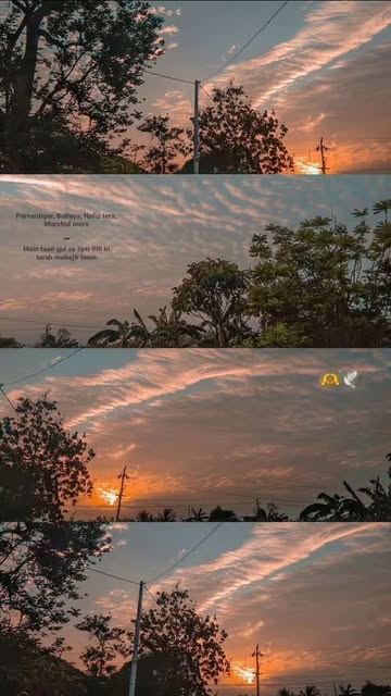 #Naturephotography Inspiration Reel by @gaurav_.vaidya - 🫶🕊
.
.
#sunset #nature #photography #travel #sky #photooftheday #love #sunsetphotography #beach #landscape #naturephotography #sun #instagood #s