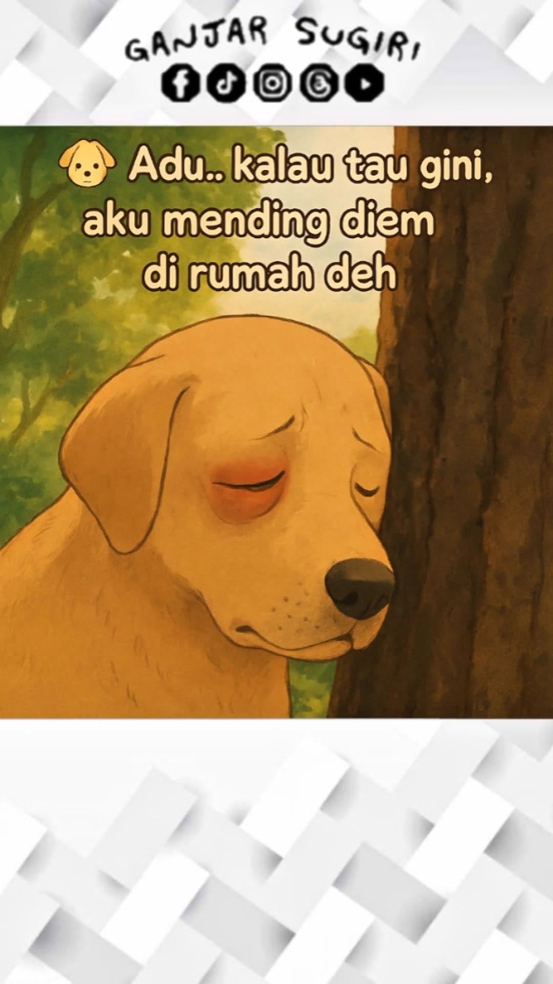 Katanya sih, bakal dapet yang manis-manis. Eh, ternyata yang dapet malah sengatan GRATIS ! #kucing #anjing #dog #cat