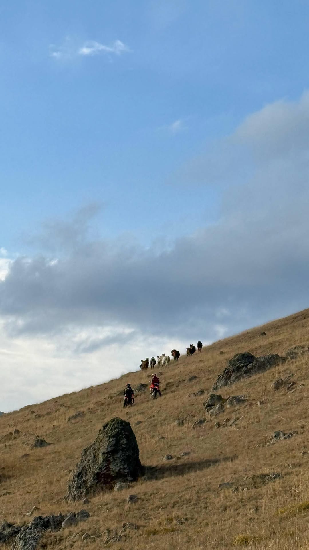 I’ve come across Armenian horses again #ktm #690 #advrider #armenia #horses