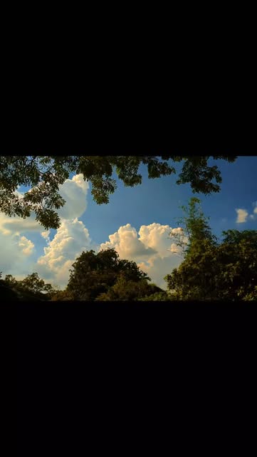 #Nature_photography Reel by @armaan.hossien - #natural #naturephotography #NaturalLight #naturallover #NatureVibes #naturalvlog #SkyAesthetic #skylovers #skyphotography #cinematic #flimphotography