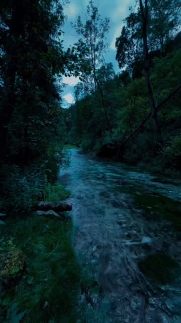 #Nature_photography Reel by @lost_in_nature_00012 - Day's 🍃🌧️
#nature #naturephotography #lovemusic #broken💔 #raindrops #love#instagood #instadaily #lovestatus #instalike #naturegram #naturelovers #t