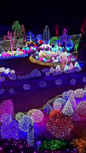 #кудапойтивмоскве Reel by @standupchikup - Самое волшебное место в Москве #москва #кудапойтивмоскве #парк