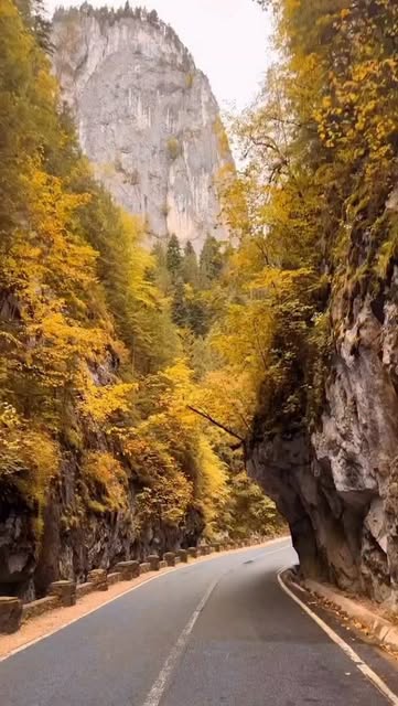 #Travelphotography Reels - @romania (onaylı hesap) tarafından paylaşılan video - What pulls you in first? Autumn turns the Bicaz Gorges into a narrow cathedral of stone and fire, a place where the road coils beneath towering limest