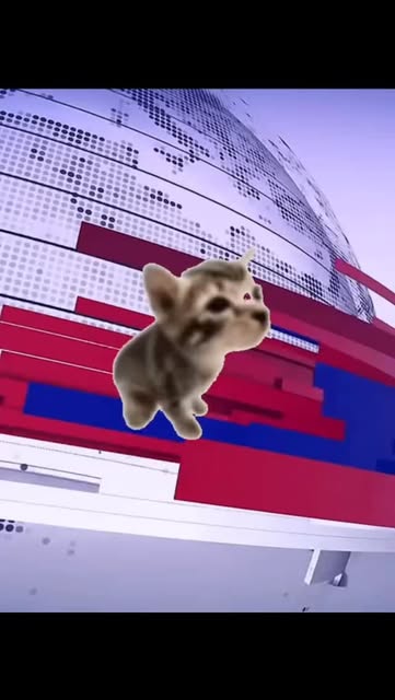 #Peenar Cat Reel by @smellystinky0 - PEENAR News
日本利用压电瓷砖将脚步转化为电能。这些瓷砖捕捉来自你脚步的动能。当你行走时,你的重量和动作会对瓷砖产生压力。瓷砖会轻微弯曲,从而产生机械应力。瓷砖内部的压电材料将这种应力转化为电能。每一步都会产生少量电荷,而数百万步结合在一起就能产生足够的电力来驱动LED灯、数字显示屏和