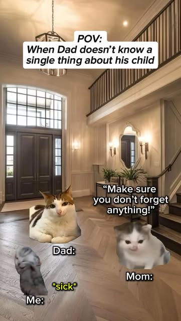 #Funnycat Reel by @catology15 - When Dad doesn't know anything about his child
#relatable #catmemes #cat #cats #catmeme #relationships #funny #foryou #reel #funnycat #catvideos #vira