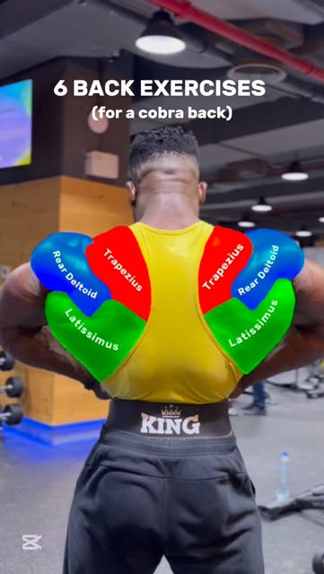 #Back Workouts Men Reel by @gainz_with_gabs - ⚡️COBRA BACK⚡️
6 Back exercises for a cobra back physique.
1️⃣. T-bar Bent-over Row.
2️⃣. Chest Supported Machine Seated Row.
3️⃣. Single-arm Dumb