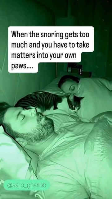 #Morning Reels - @just_chill_mama (onaylı hesap) tarafından paylaşılan video - When your cat believes in immediate intervention for sleep disruptions.
While feline methods aren't NHS-approved, persistent snoring is worth gettin