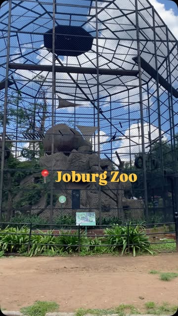 #Johannesburg Zoo Entrance Fee On Weekends Reel by @momandneru - Things to do in Johannesburg ๐ข
We visited the Joburg Zoo and it was such a lovely day out. Lots of animals to see, restaurants inside, and you can ev