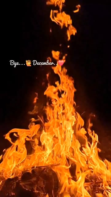#Decemberphotochallenge Reel by @dnyanba_2077_ - #decembervibes ❤
.
.
.
.
.
.
#decemberphotochallenge #december
#lfeline❤️🌍 #lifeisbeautiful