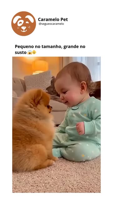 #Caramelo Reel by @segueocaramelo - O PLANO PREVENTIVO da Caramelo Pet foi criado para quem ama cuidar antes que vire preocupação. 🐾
Mais tranquilidade no dia a dia, acompanhamento e cu