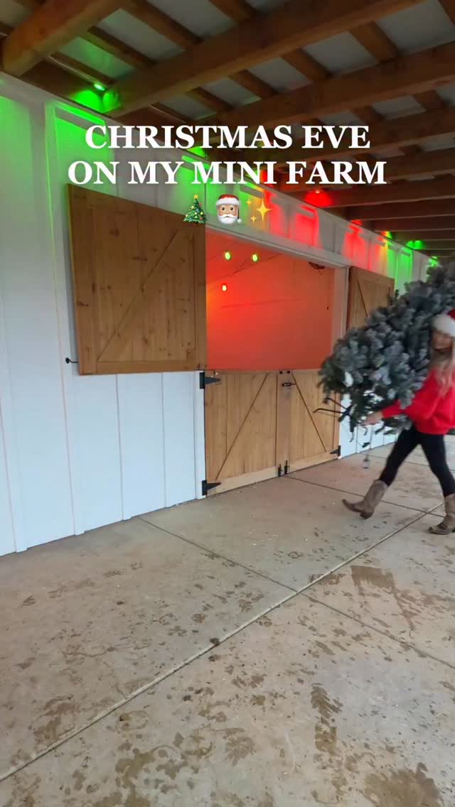 How late do you think Milo will stay up to try and catch Santa? 🎅🏻✨ #christmas #farm #routine