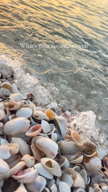#Beach Reel by @travelwithdari_ - Favorite sound: 🌊🐚 follow: @travelwithdari_
.
.
.
#waves #aesthetic #ocean #oceansound #beach