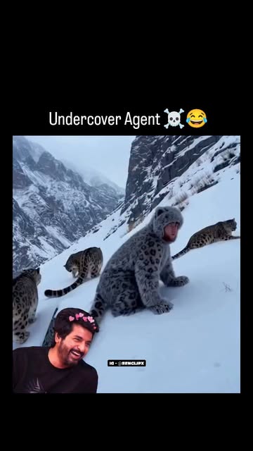 #Landscape Reel by @rennovate.io - The video features a man "infiltrating" a group of snow leopards in a snowy, mountainous landscape. Here's the scene-by-scene breakdown:
The Disguise