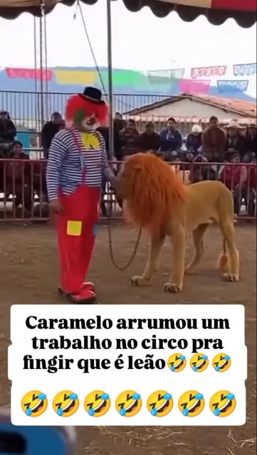 #Caramelo Reel by @willmoura32 - Caramelo arrumou um trabalho no circo 🤣