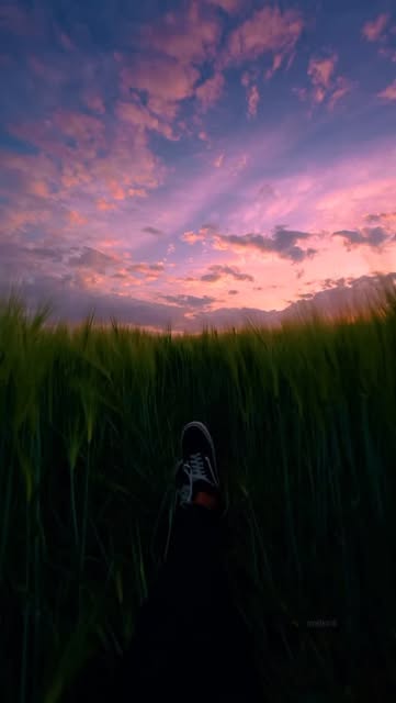 #Sunset Reel by @mistkirill - Sunset therapy 
.
.
#nature #sunset #sunsets #aesthetic