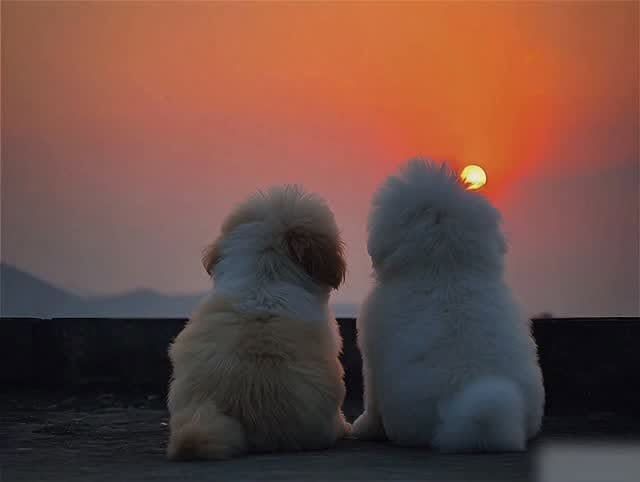 #Sunset Reel by @surendra_garhwal__ - I like sunset, I like you.❤️