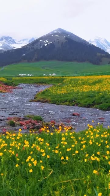 #Naturephotography Trends 2026 Reel by @zenflora_3 - In the heart of nature, we find ourselves.
.
.
.
Follow my Facebook page.
Like, Comment and Share!
.
.
.
#nature #naturephotography #naturelovers #