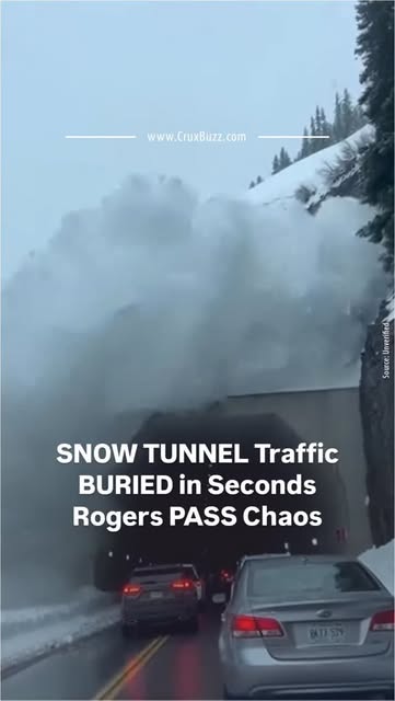 #Rogers Reel by @cruxbuzz_official - Mountain highways face constant snowslide threats, especially during winter storm cycles.
Rogers Pass in British Columbia represents one of North Ame