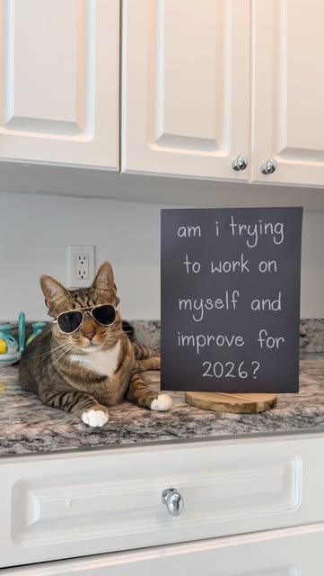 #Funnycat Reel by @loki.doestricks (verified account) - always be true to who you are💕
#catsofinstagram #funnycatsofinstagram #funnycat #cat