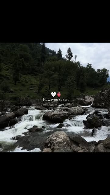 #Naturephotography Reel by @iamfrommountainsss - Hawavoo se tera pata poochta hu🤍
.
.
.
.
.
.
.
.
.
.
.
.
.
.
.
.
.
.
.
.
.
.
.
.
.
.
.
.
.
.
.
.
Keywords (nature, aesthetics, nature photography, vi