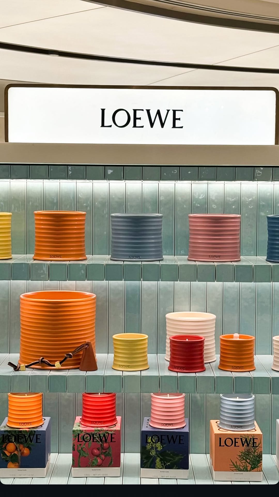 Time flies when you are busy adulting 😢 [growing up moments, 17 forever feeling, nostalgia reel, time passing, soft memories, coming of age, life chapters, emotional edit, teenage years, self reflec