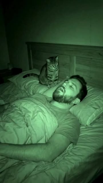 #Catlover Reel by @animal._.box - This Cat Chose a Human Face as Its Bed 😺
Relaxing at home? Think again.
Your husband's face just became premium bedding 😴
#cats #cat #kitten #funn